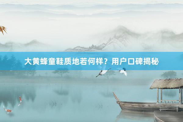 大黄蜂童鞋质地若何样？用户口碑揭秘